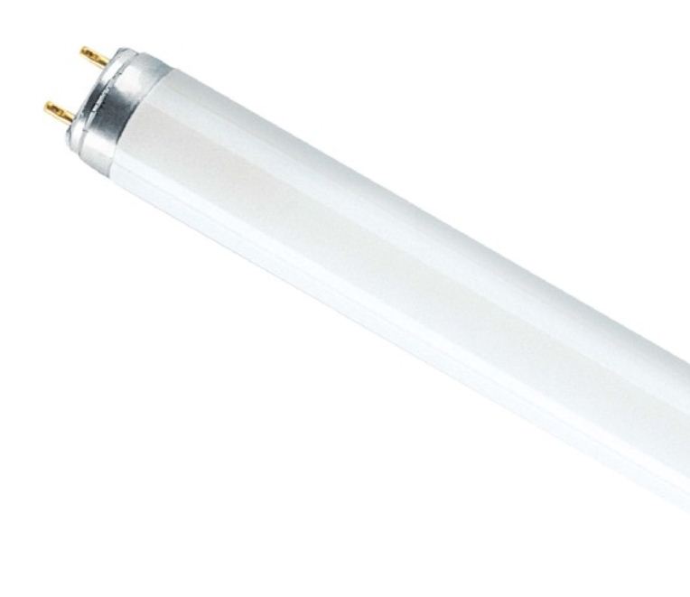 Лампа люмінесцентна 15W для мухоловки Maltec 30W - зображення 1